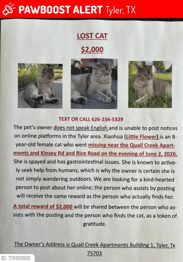 Lost Female Cat last seen Lost near Kinsey Rd and Rice Rd Tyler, Tx 75703, Tyler, TX 75703