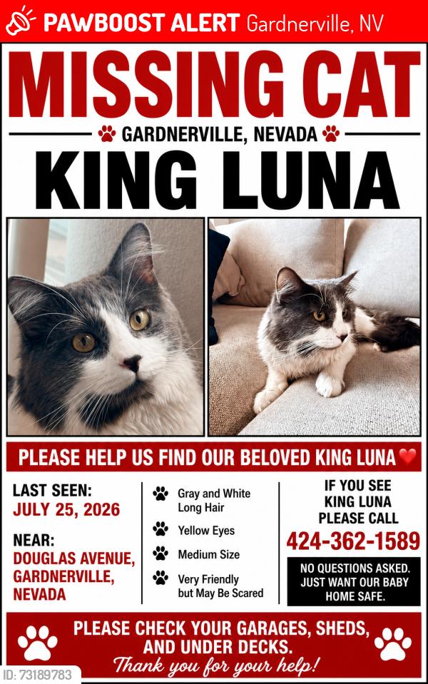 Lost Male Cat last seen Douglas avenue, Gardnerville, NV 89410