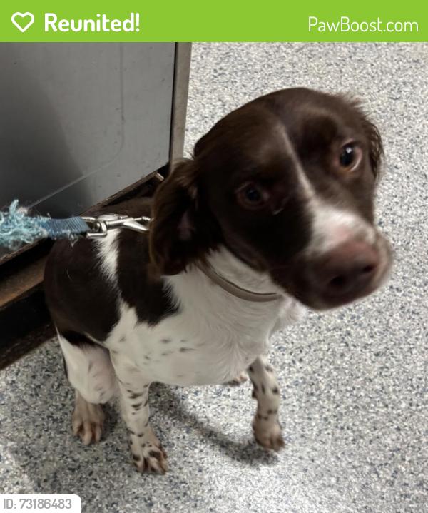 Reunited Unknown Dog last seen Port St. Lucie, Port St. Lucie, FL 34986