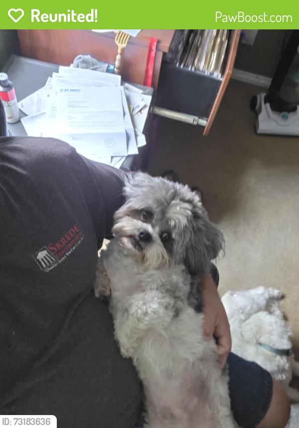 Reunited Male Dog last seen Grandview and Lakeridge, Lake Elsinore, CA 92530