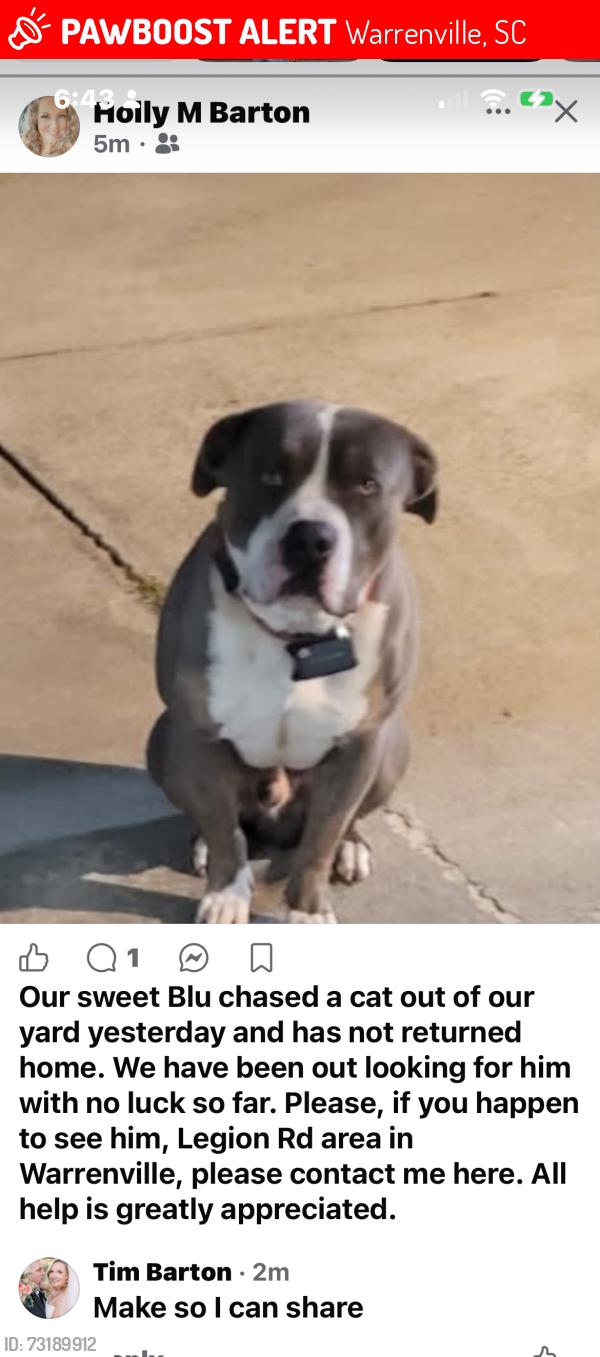Deceased Male Dog last seen Near legion Road Warrenville sc, Warrenville, SC 29851
