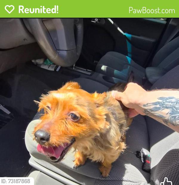 Reunited Unknown Dog last seen Alexander elementary school, Denton, TX 76209
