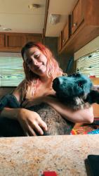 Reunited Male Dog last seen Last seen near 4465 vinegar valley rd, Friendsville, TN 37737