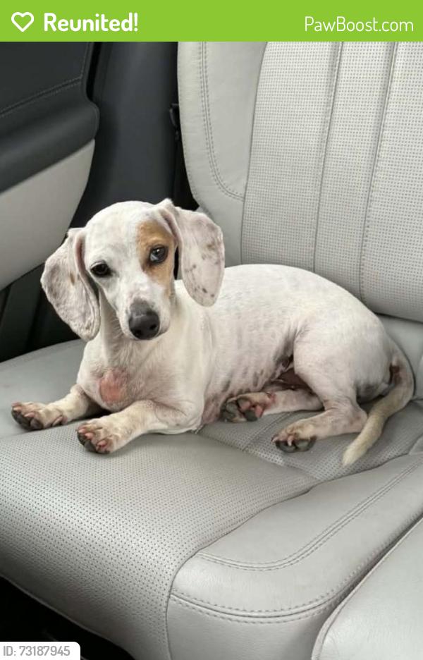 Reunited Male Dog last seen Tombfield Rd, Kershaw County, SC 29020