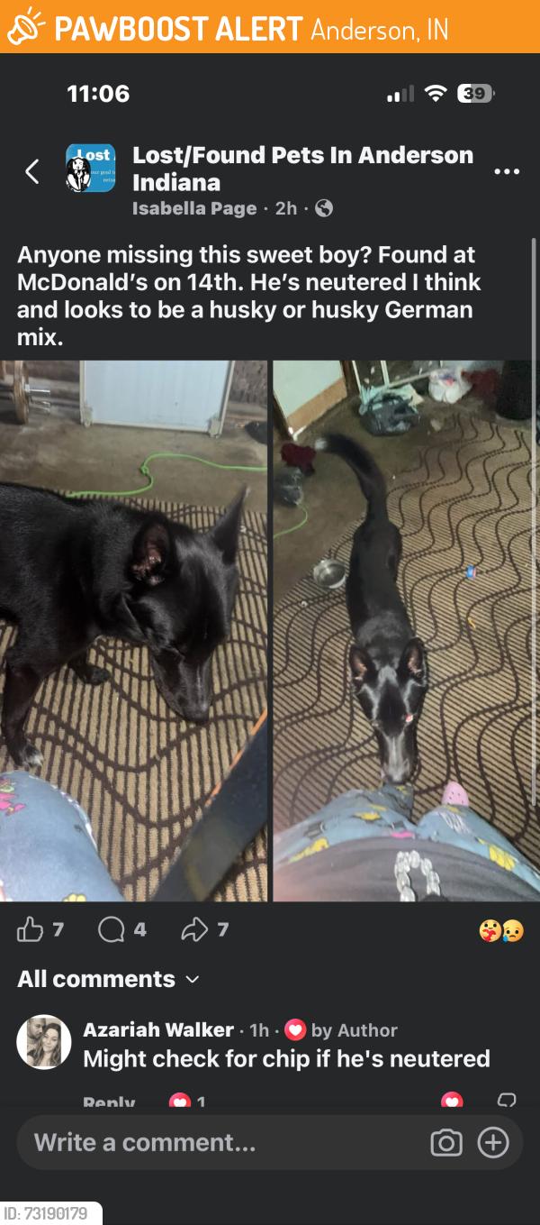 Found/Stray Male Dog last seen McDonald’s on 14th st, Anderson, IN 46016