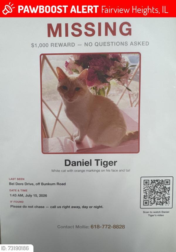 Lost Male Cat last seen Bel Dere Dr/Bunkum Rd, Fairview Heights, IL 62208