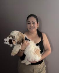 Reunited Male Dog last seen Near 15155 Richmond Ave, Houston Tx. Park West apmts, Elbridge/ wesr Oaks, Houston, Houston, TX 77082