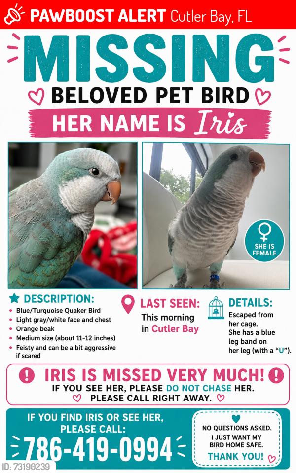 Lost Female Bird last seen The Palmetto bay Sign I would say, Cutler Bay, FL 33157