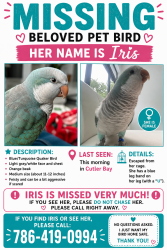 Lost Female Bird last seen The Palmetto bay Sign I would say, Cutler Bay, FL 33157