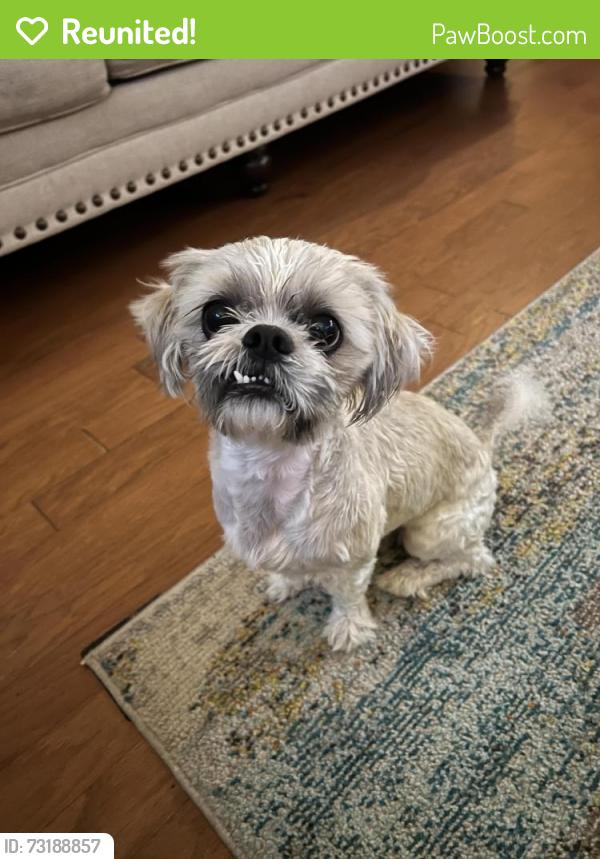 Reunited Male Dog last seen McKendree Park, Houston, TX 77041