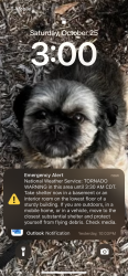 Lost Female Dog last seen Needham rd, Porter, TX 77365