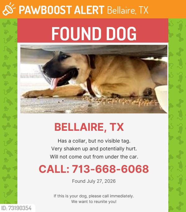 Found/Stray Unknown Dog last seen West Loop South & Locust Street, Bellaire, TX 77401