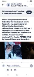 Lost Male Cat last seen Seaside, killianand Centennial, Spring Hill, FL 34609