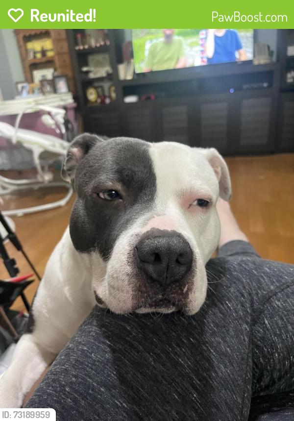 Reunited Male Dog last seen Near Peck, Lafayette, LA 70508