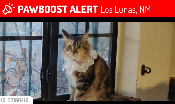 Lost Female Cat last seen Meadowlake Rd & Gurvin Ct, Los Lunas, NM 87031