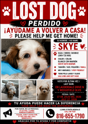 Reunited Male Dog last seen Lauderdale drive N, Jacksonville, FL 32277