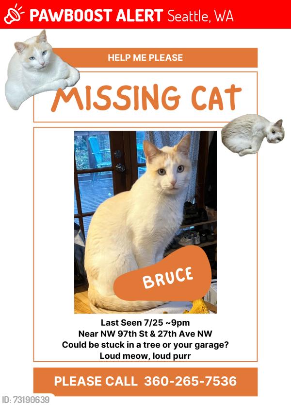 Lost Male Cat last seen NW 97th St & 27th Ave NW, Seattle, Seattle, WA 98117