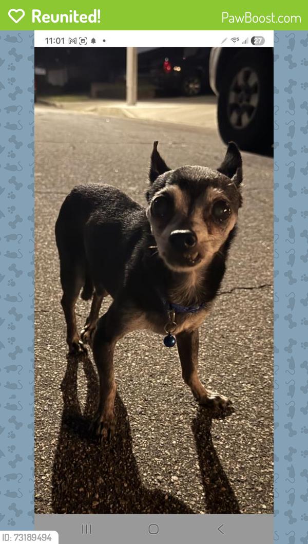 Reunited Male Dog last seen Hollenbeck Park, Covina, CA 91723