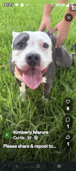 Lost Female Dog last seen 21st and pepper tree lane, San Bernardino, CA 92404