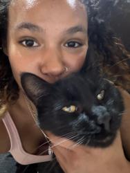 Reunited Male Cat last seen peerless rd , keith st , 25th st, Cleveland, TN 37311