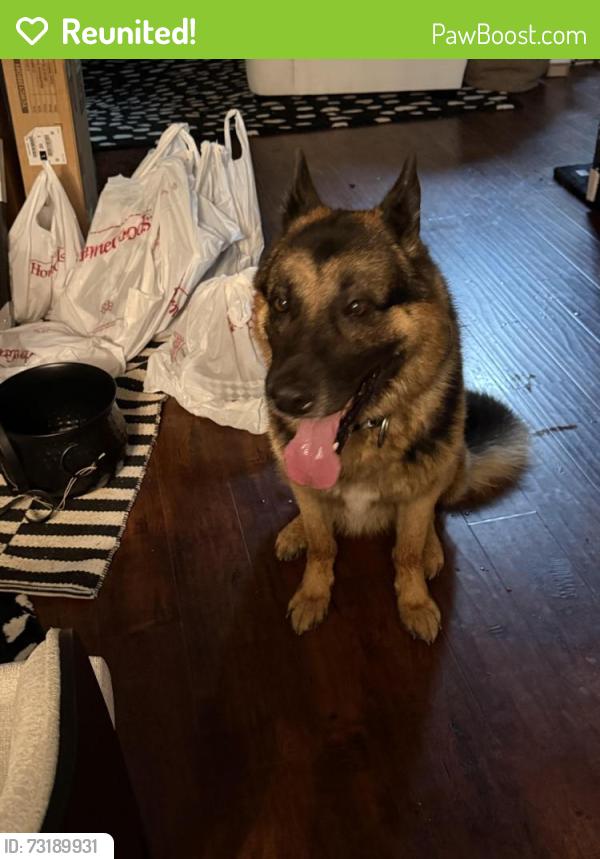 Reunited Male Dog last seen Cumberland Cove + Normans Landing, Charlotte, NC 28273