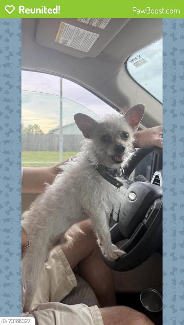 Reunited Male Dog last seen El Tarasco Mexican Restaurant, Beth Stacey, Lehigh Acres, FL 33936