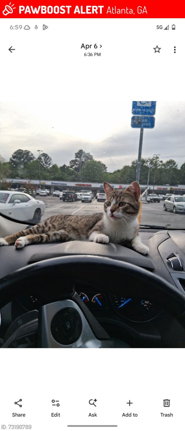 Lost Male Cat last seen Douglas High School, Atlanta, GA 30318