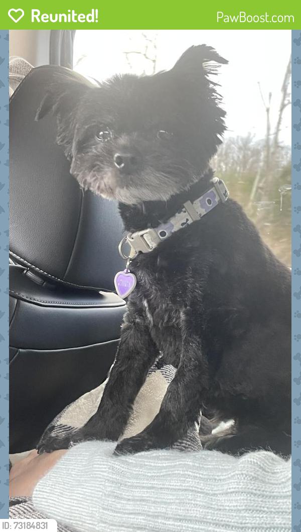 Reunited Female Dog last seen Dilley’s Rd and Anna Dr, Wadsworth, IL 60083