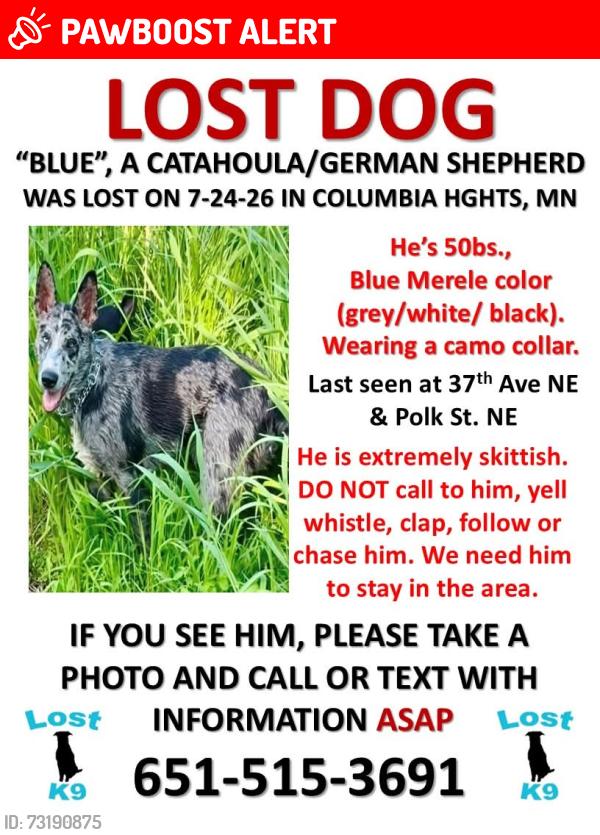 Lost Male Dog last seen Hopkins, mn, Columbia Heights, MN 55421