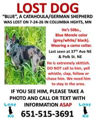 Lost Male Dog last seen Hopkins, mn, Columbia Heights, MN 55421