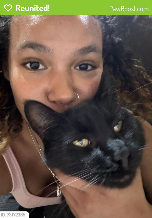 Reunited Male Cat last seen peerless rd , keith st , 25th st, Cleveland, TN 37311