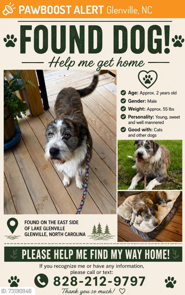 Found/Stray Male Dog last seen Drake drive and hwy 107 south, Glenville, NC 28736