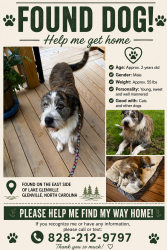 Found/Stray Male Dog last seen Drake drive and hwy 107 south, Glenville, NC 28736