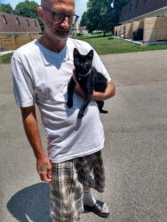 Lost Female Cat last seen By saint Vicente, Erie, PA 16502