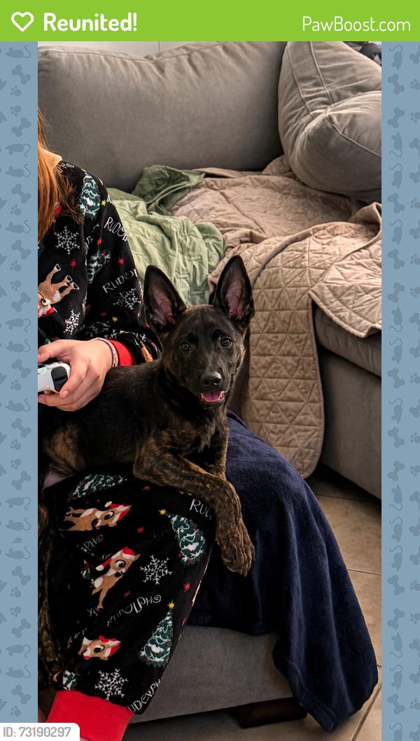 Reunited Female Dog last seen Oak Creek Drive (county road 4150) and County Road 468, Tyler, TX 75704
