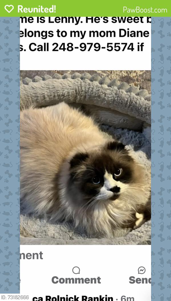 Reunited Male Cat last seen Wing lake, Bloomfield Township, MI 48301