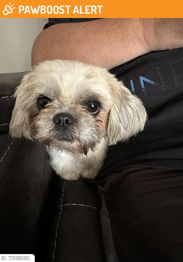 Found/Stray Unknown Dog last seen Expedition ct and strata dr, Berkeley County, WV 25403