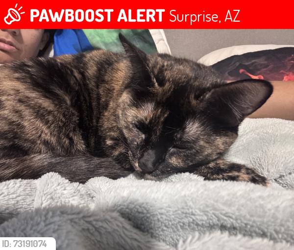 Lost Female Cat last seen Tortoise Ct and 115ave coyote lakes golf course, Surprise, AZ 85378