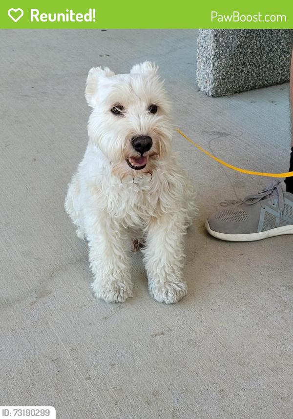 Reunited Unknown Dog last seen W Bardin Rd, Arlington, TX 76017