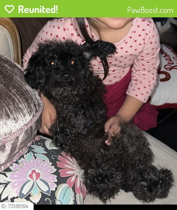 Reunited Male Dog last seen Winter garden, El Cajon, CA 92021