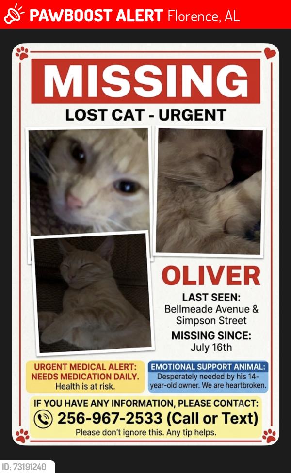 Lost Male Cat last seen Between Bellmeade Av and Simpson street, Florence, AL 35630