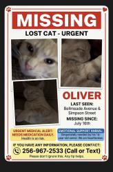 Lost Male Cat last seen Between Bellmeade Av and Simpson street, Florence, AL 35630
