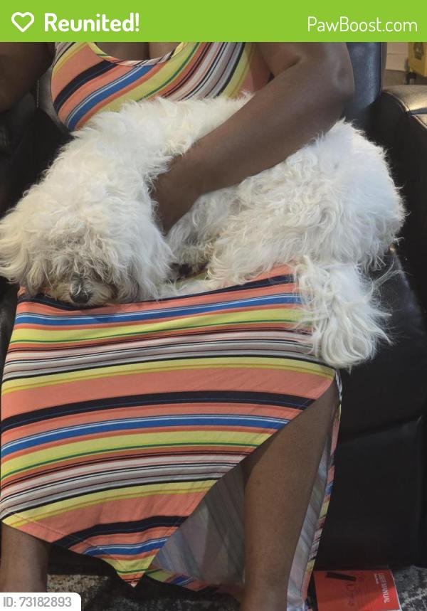 Reunited Male Dog last seen 6 mile and outer drive, Detroit, MI 48219