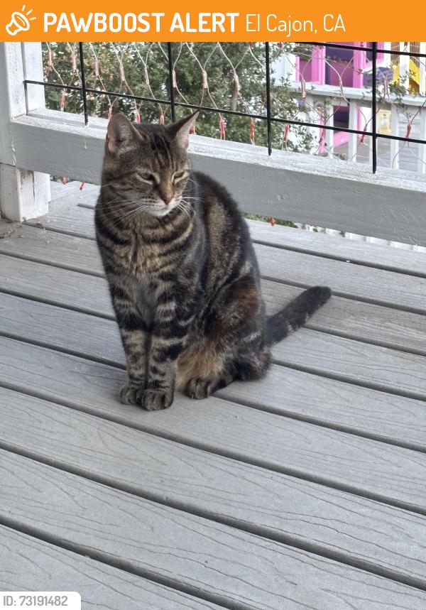 Found/Stray Unknown Cat last seen Harbison Canyon, El Cajon, CA 92019