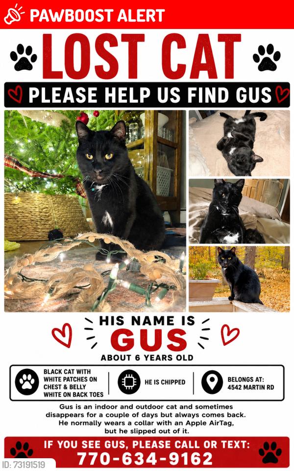 Lost Male Cat last seen West Grand Ave down from Kwik Trip, Wisconsin Rapids, WI 54495