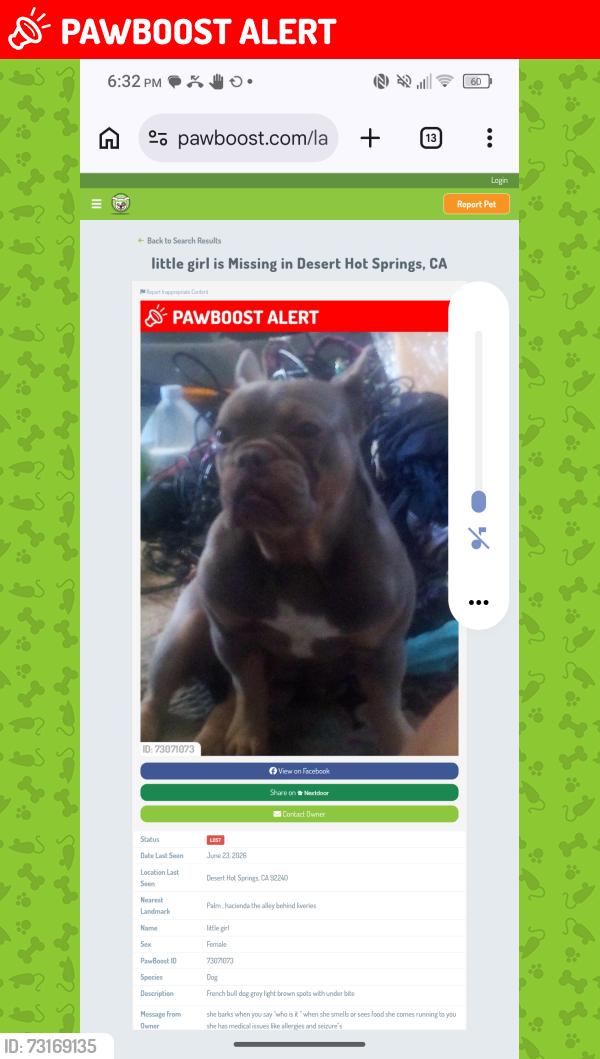 Lost Female Dog last seen Palm and hacienda, Desert Hot Springs, CA 92240