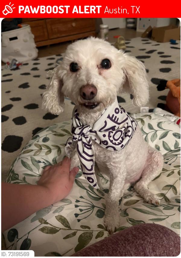 Lost Female Dog last seen Woodland Ave and I-35 Feeder, near fenced off office building, Austin, TX 78741