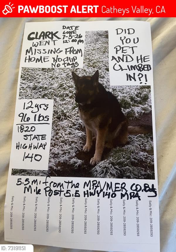 Lost Male Dog last seen State Highway 140/ mile point 5.5 from Mer/Mpa County Line, Catheys Valley, CA 95306