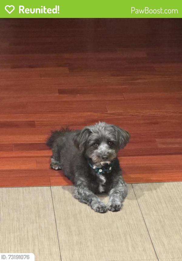 Reunited Male Dog last seen Thai Temple, Los Angeles, CA 91605