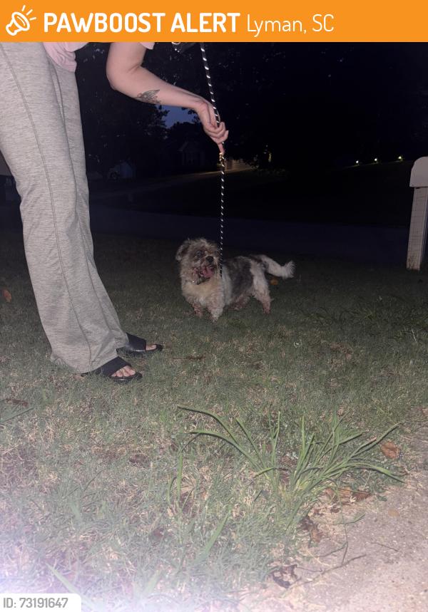 Found/Stray Unknown Dog last seen Lyman Farms neighborhood, Lyman, SC 29365